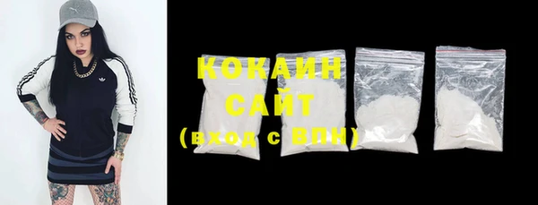 шишки Осташков