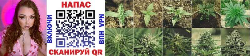 Каннабис OG Kush  наркошоп  нарко площадка клад  Усмань 